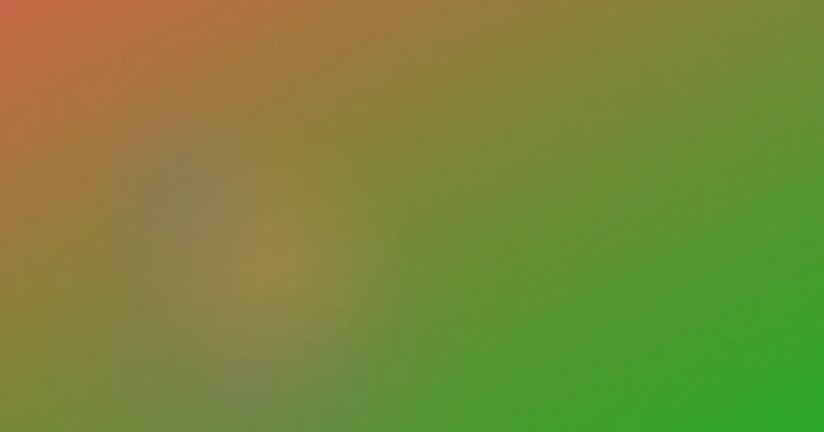我家有喜演员表测评避坑